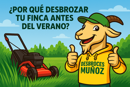 ¿Por qué deberías desbrozar tu finca antes del verano?