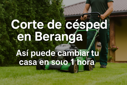 ¿Y si solo necesitas cortar el césped para que tu casa en Beranga parezca nueva?