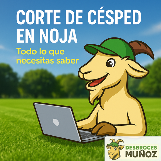 Corte de césped en Noja – Todo lo que necesitas saber