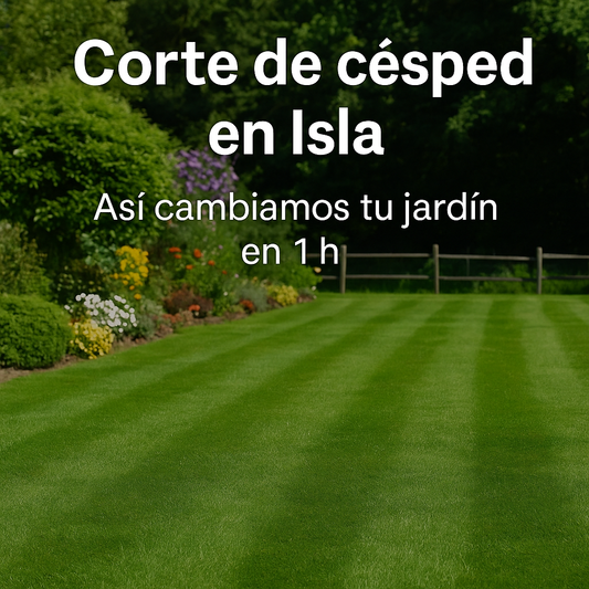 ¿Tienes jardín en Isla y no sabes por dónde empezar? Empieza por el césped.