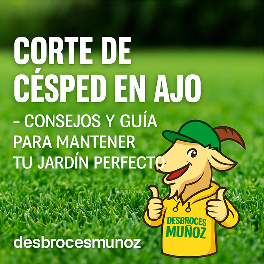 Corte de césped en Ajo – Consejos y guía para mantener tu jardín perfecto